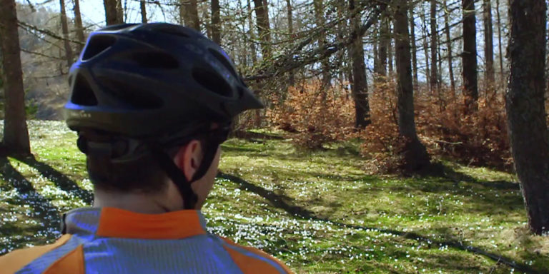 horizontal_preview_lavori