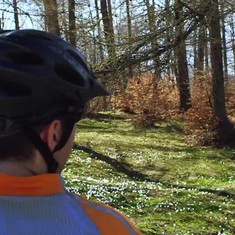 squared_preview_lavori