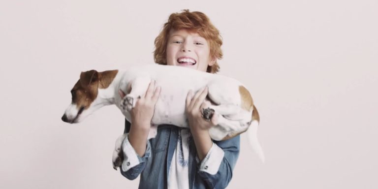 horizontal_preview_lavori