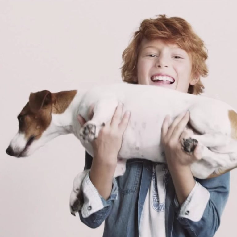 squared_preview_lavori