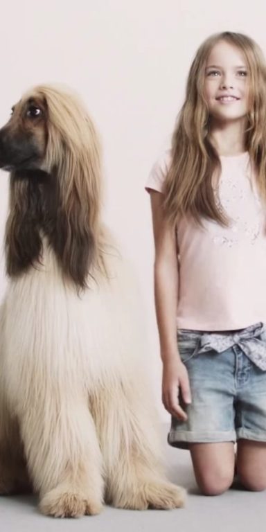 vertical_preview_lavori