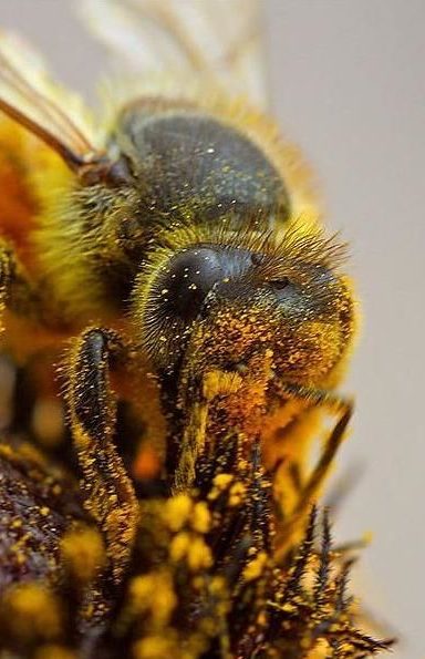 vertical_preview_lavori