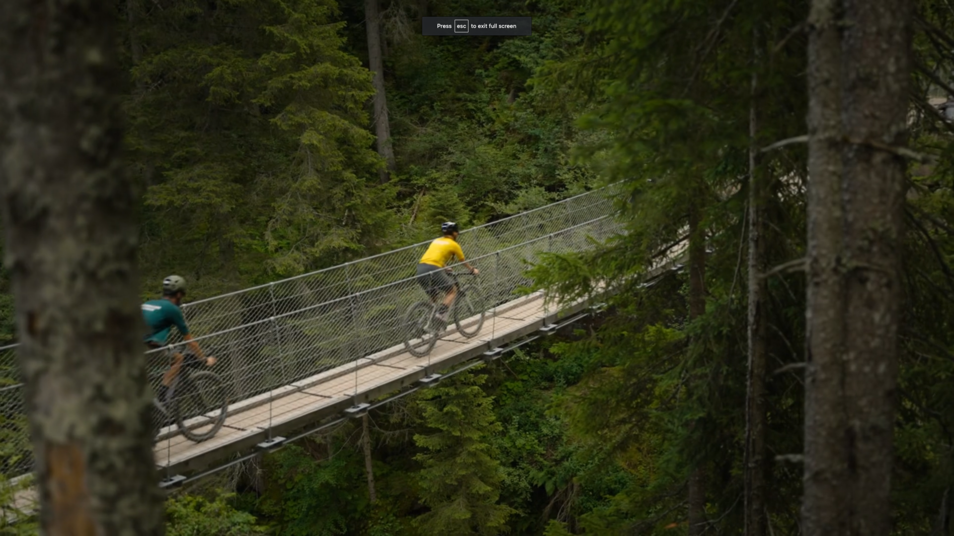 squared_preview_lavori